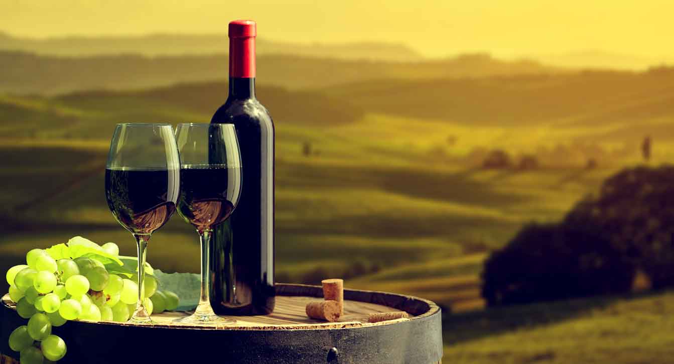Wine Tour
